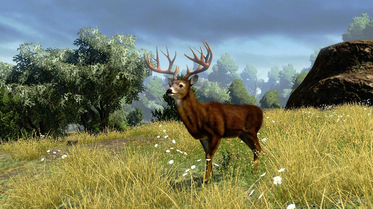 охота и рыбалка cabelas outdoor adventures охота и рыбалка cabelas outdoor adventures