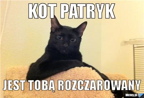 Самые сложные мемы в вашей жизни: погружаемся в польский интернет - фото 3