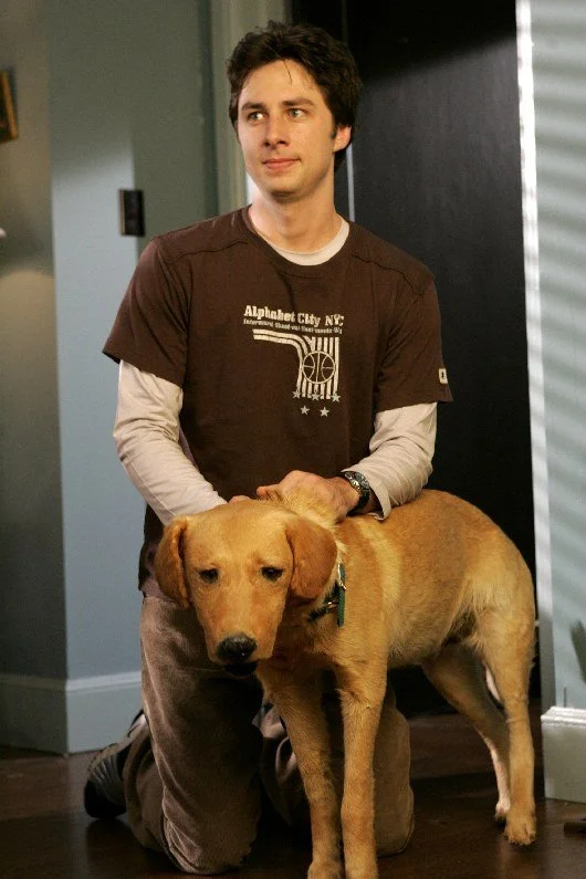 Зак Брафф пытался украсть чучело пса Роуди со съемок «Клиники» - фото 1