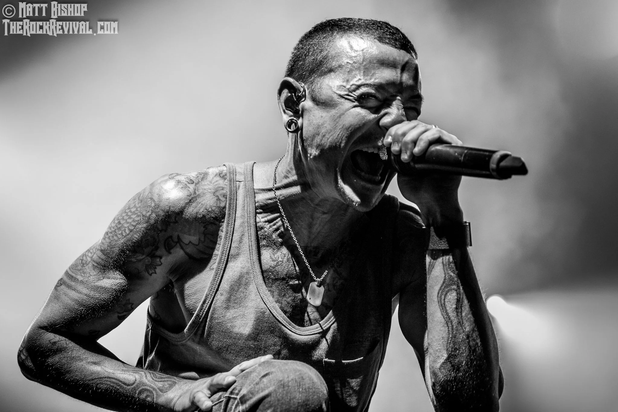 «На звонке Numb полифонический стоял»: истории о Linkin Park из юности - фото 1