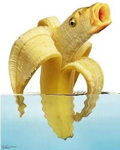 Внезапный тренд: животные-бананы. Про них даже есть безумное аниме! - фото 7