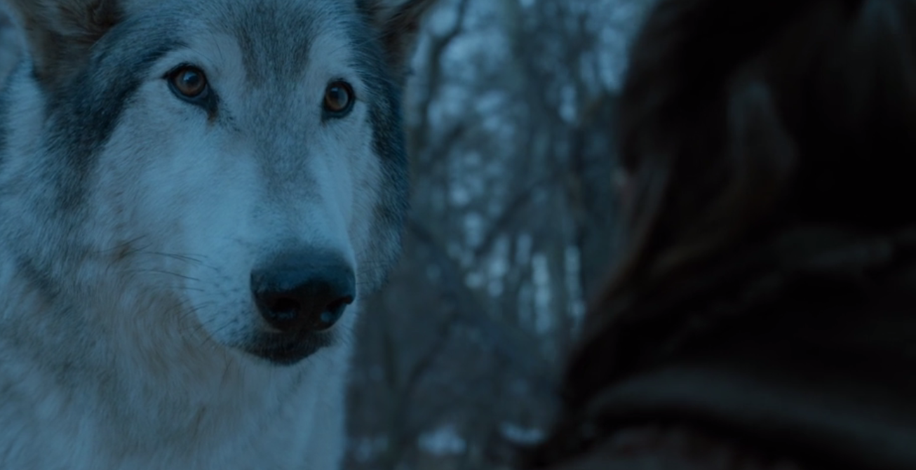 Все пасхалки 2 серии 7 сезона «Игры престолов» - изображение 2 Все пасхалки 2 серии 7 сезона «Игры престолов» - фото 2