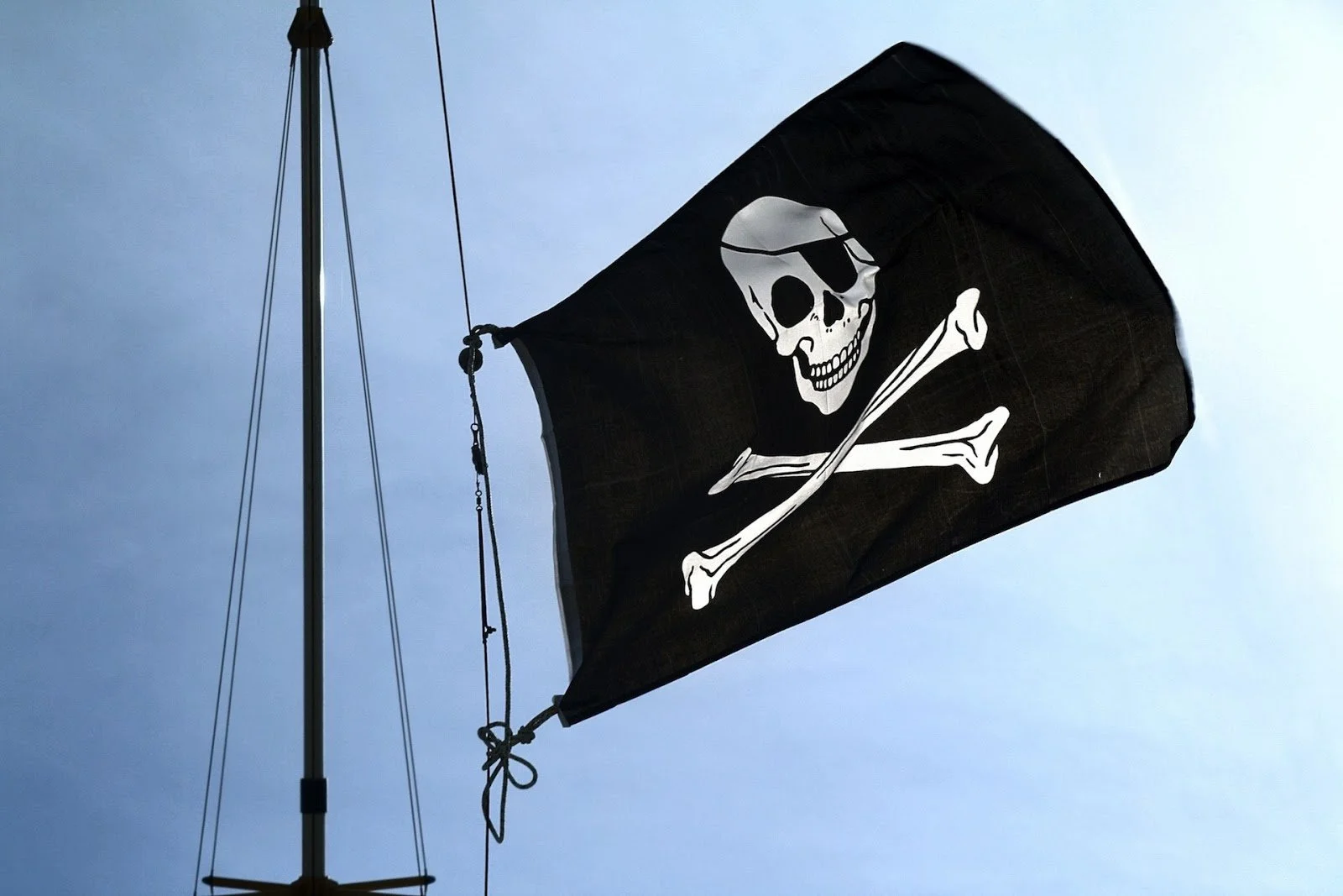 The Pirate Bay вышел из строя после полицейского рейда - фото 1