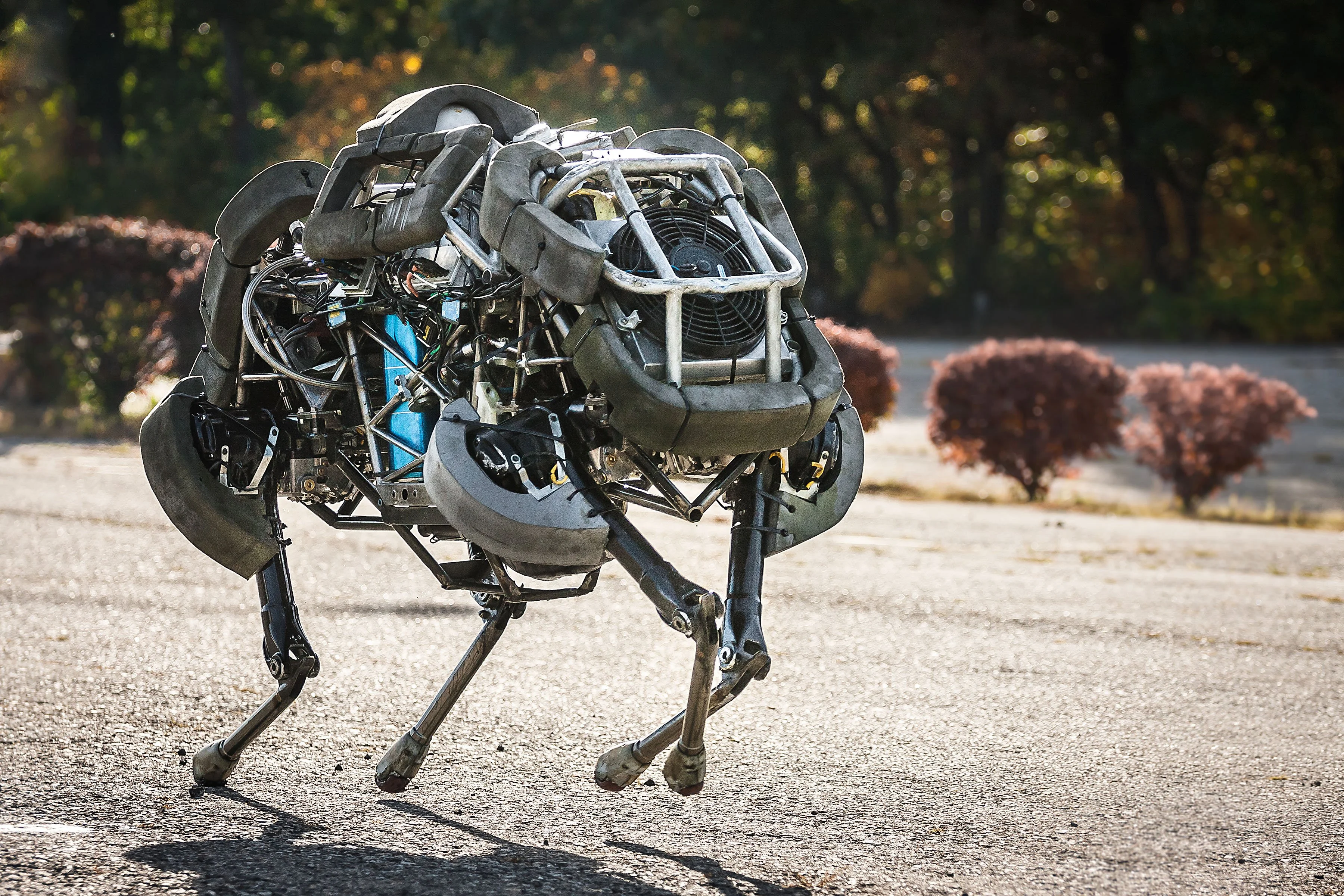 Бездомных роботов-собак Boston Dynamics возьмет под крыло Toyota - фото 1