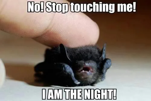 Почему Бэтмен ненавидит мороженое и другие мемы с Темным рыцарем - фото 9
