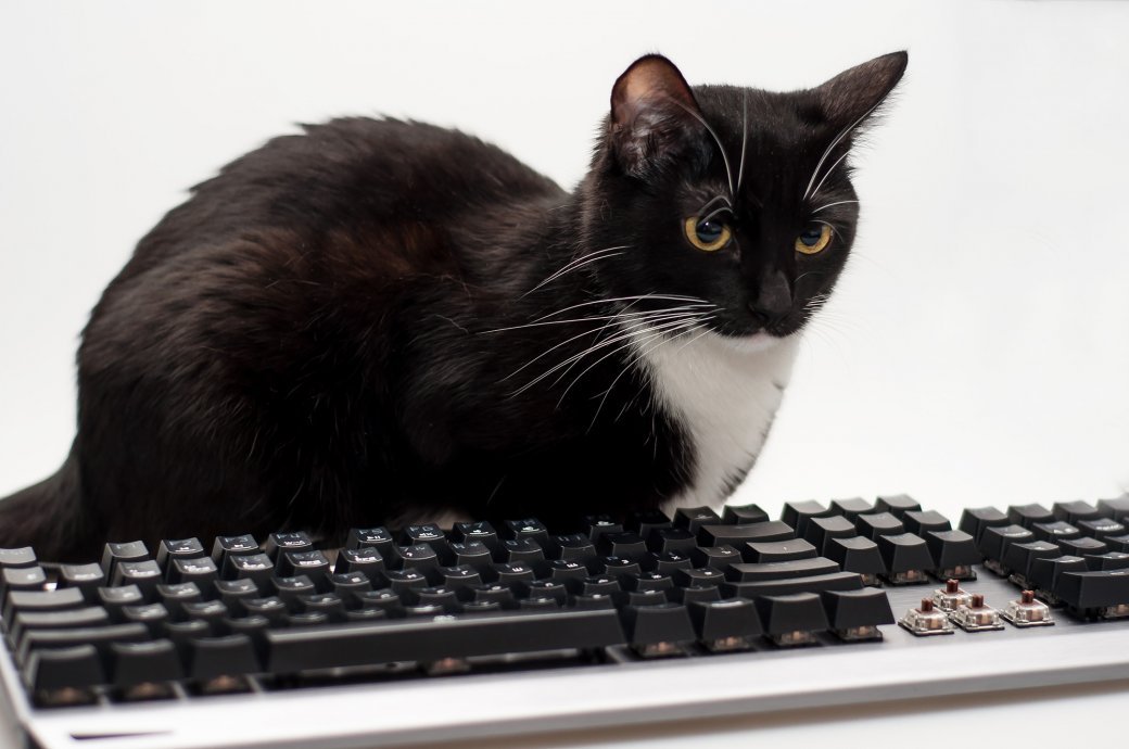 Сегодня мы тестируем бюджетную игровую механическую клавиатуру Gamdias Hermes M1 7 Color с фирменными переключателями и разноцветной индивидуальной подсветкой клавиш. Если вам нравятся яркие цвета и точные нажатия — вам точно сюда.