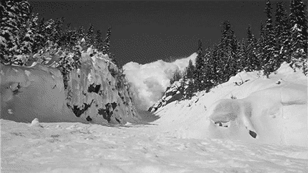 Лара Крофт: Сибирь, бурый медведь, депрессия - фото 2