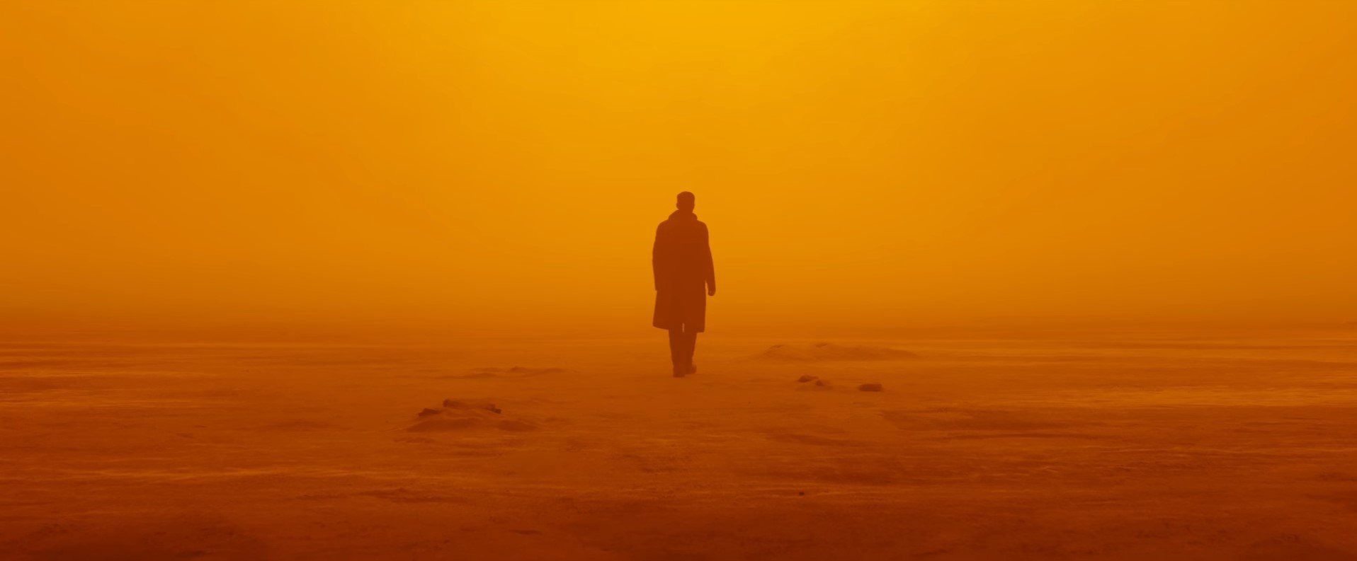 Огромные жирные спойлеры. Разбор трейлера «Бегущего по лезвию 2049» - фото 4