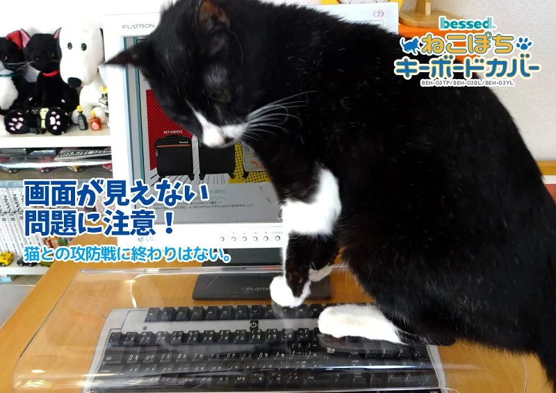 Японские дизайнеры разрешили котам лежать на клавиатурах - фото 1