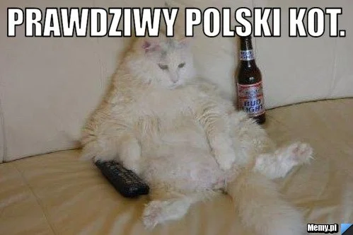 Самые сложные мемы в вашей жизни: погружаемся в польский интернет - фото 9