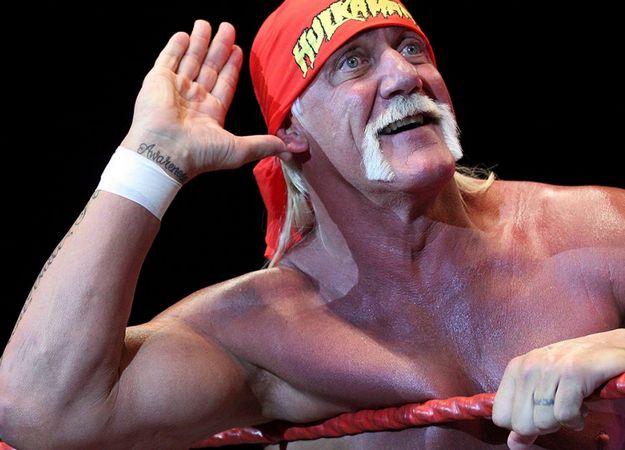 Основатель PayPal поддержал Халка Хогана в борьбе с желтой прессой - фото 1