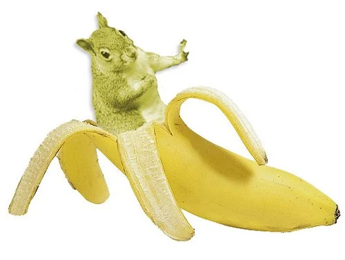 Внезапный тренд: животные-бананы. Про них даже есть безумное аниме! - фото 5