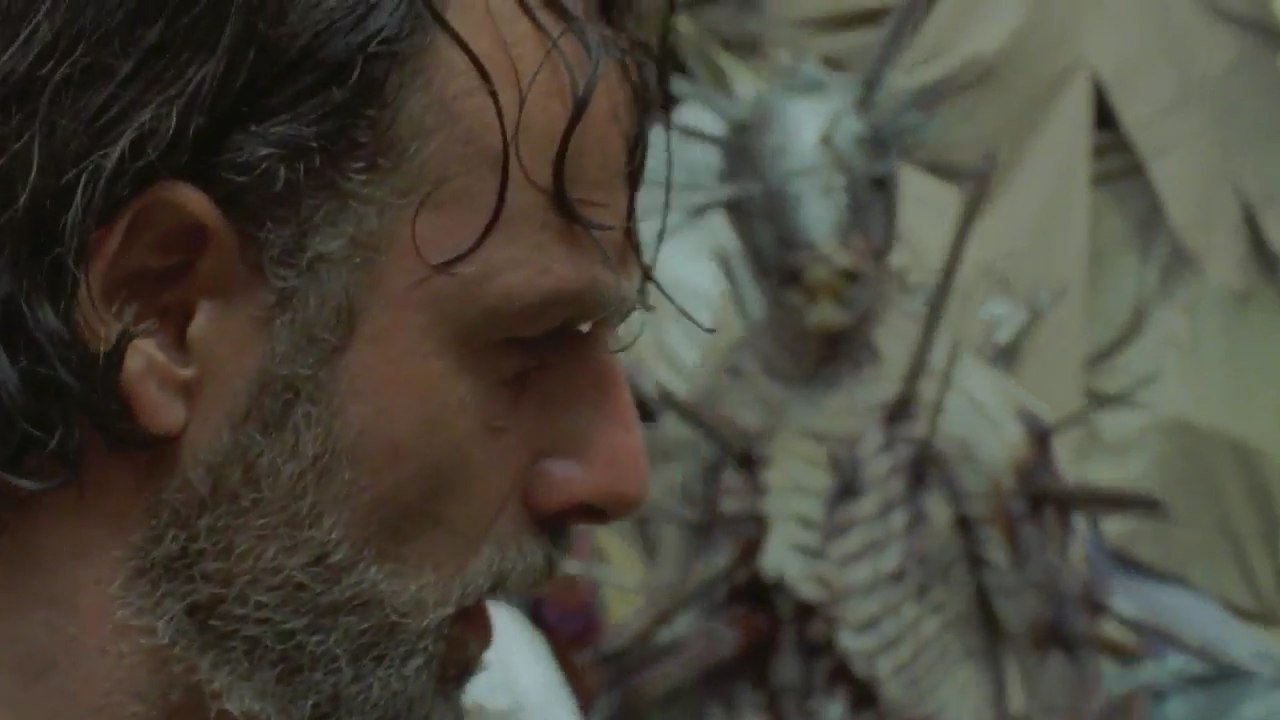 В сериале «Ходячие мертвецы» появилась новая община выживших - фото 3