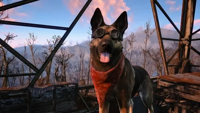 Гифка дня: что нашел Догмит? (Fallout 4) - фото 1