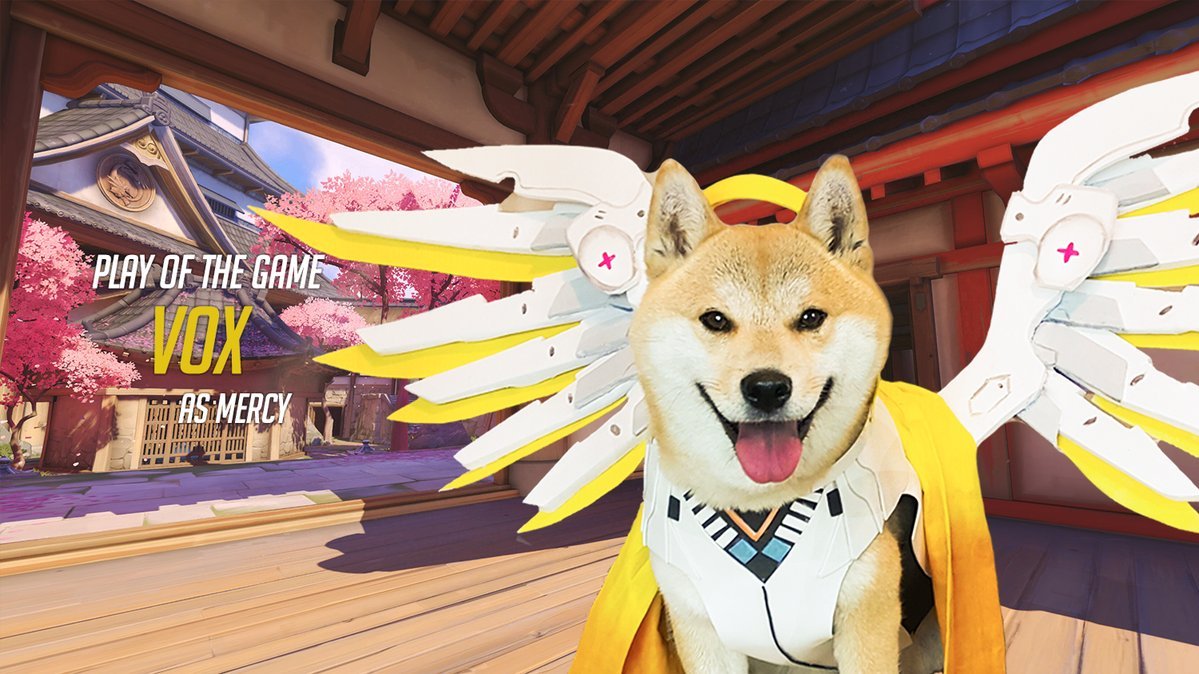 Сногсшибательный собакосплей Overwatch  - фото 4