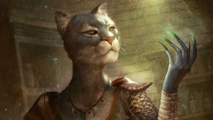 Hearthstone от Bethesda не совсем Hearthstone - фото 2