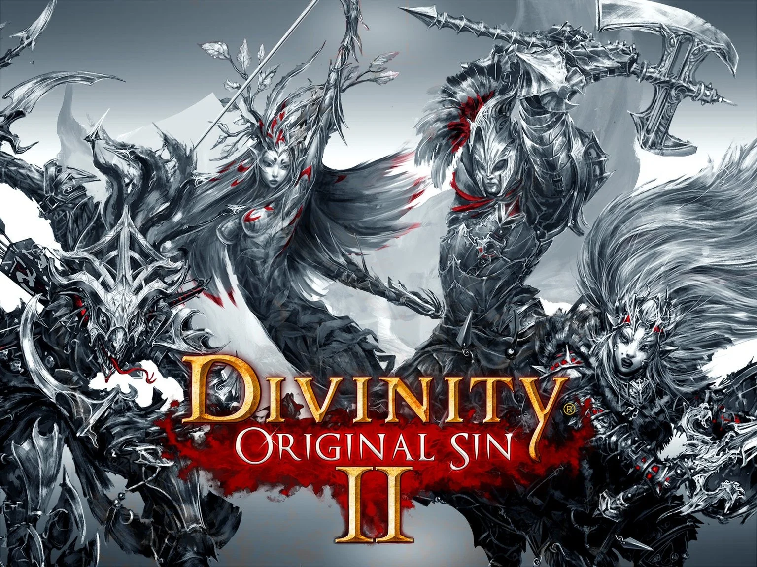 Divinity: Original Sin 2 собрала на  ​Kickstarter более $2 миллионов - фото 1