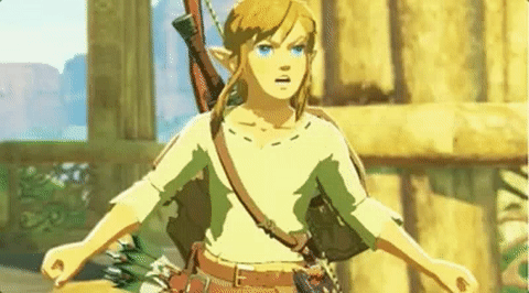 Линк из The Legend of Zelda: Breath of the Wild