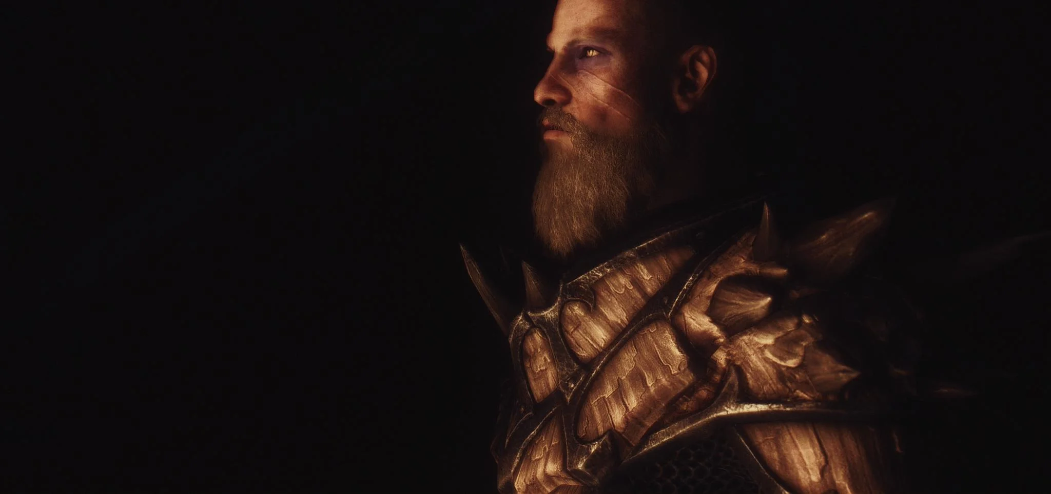 Лица The Elder Scrolls 5: Skyrim. Продолжение - фото 6