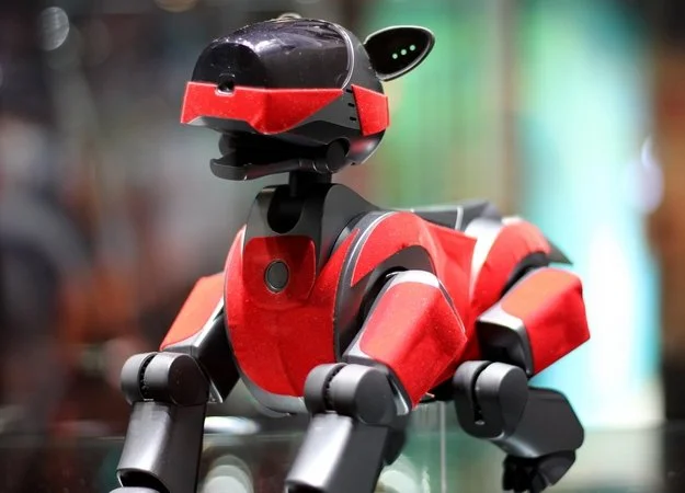 Sony создаст робота, с которым можно будет подружиться - фото 1