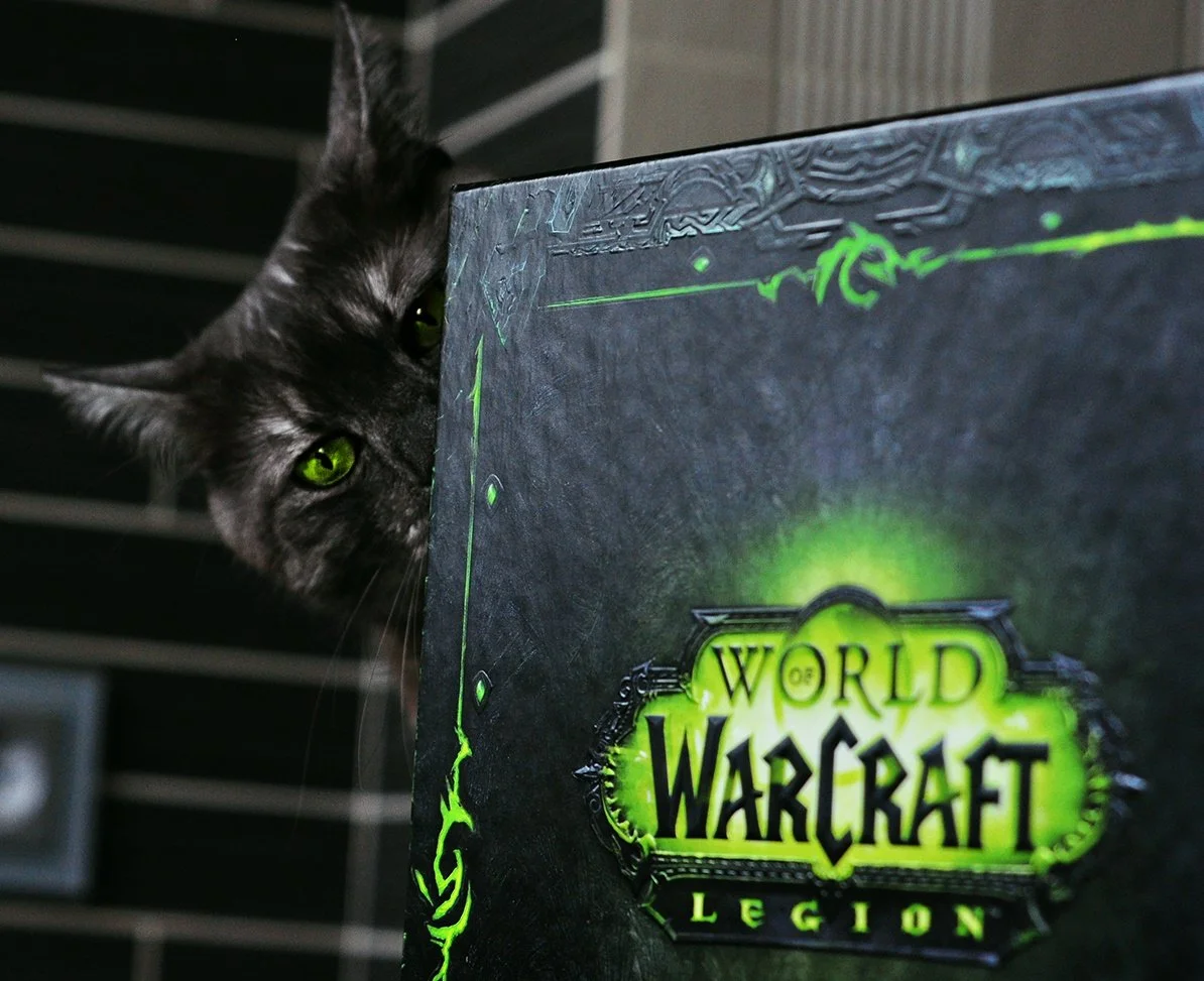 Распаковка коллекционного издания World of Warcraft: Legion. С котом! - фото 1