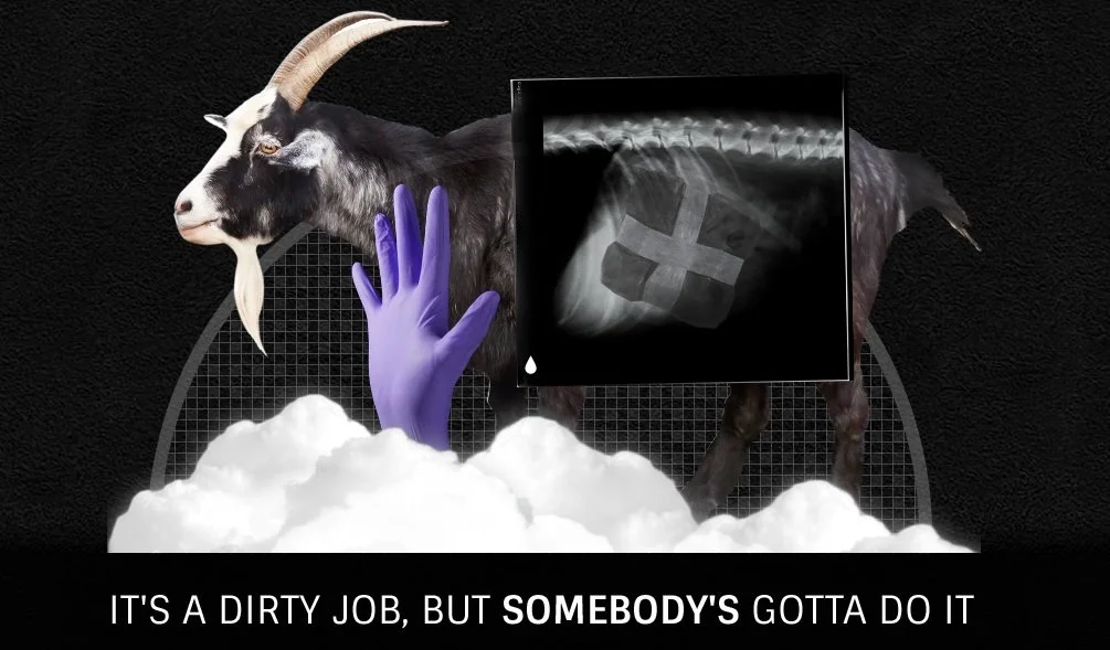 Козлы на кокаине: Goat Simulator стал новым DLC для PayDay 2 - фото 1