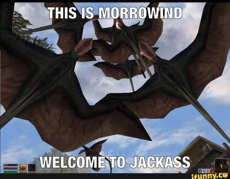 Отборные мемы и обзоры для элиты — TES III: Morrowind - фото 14