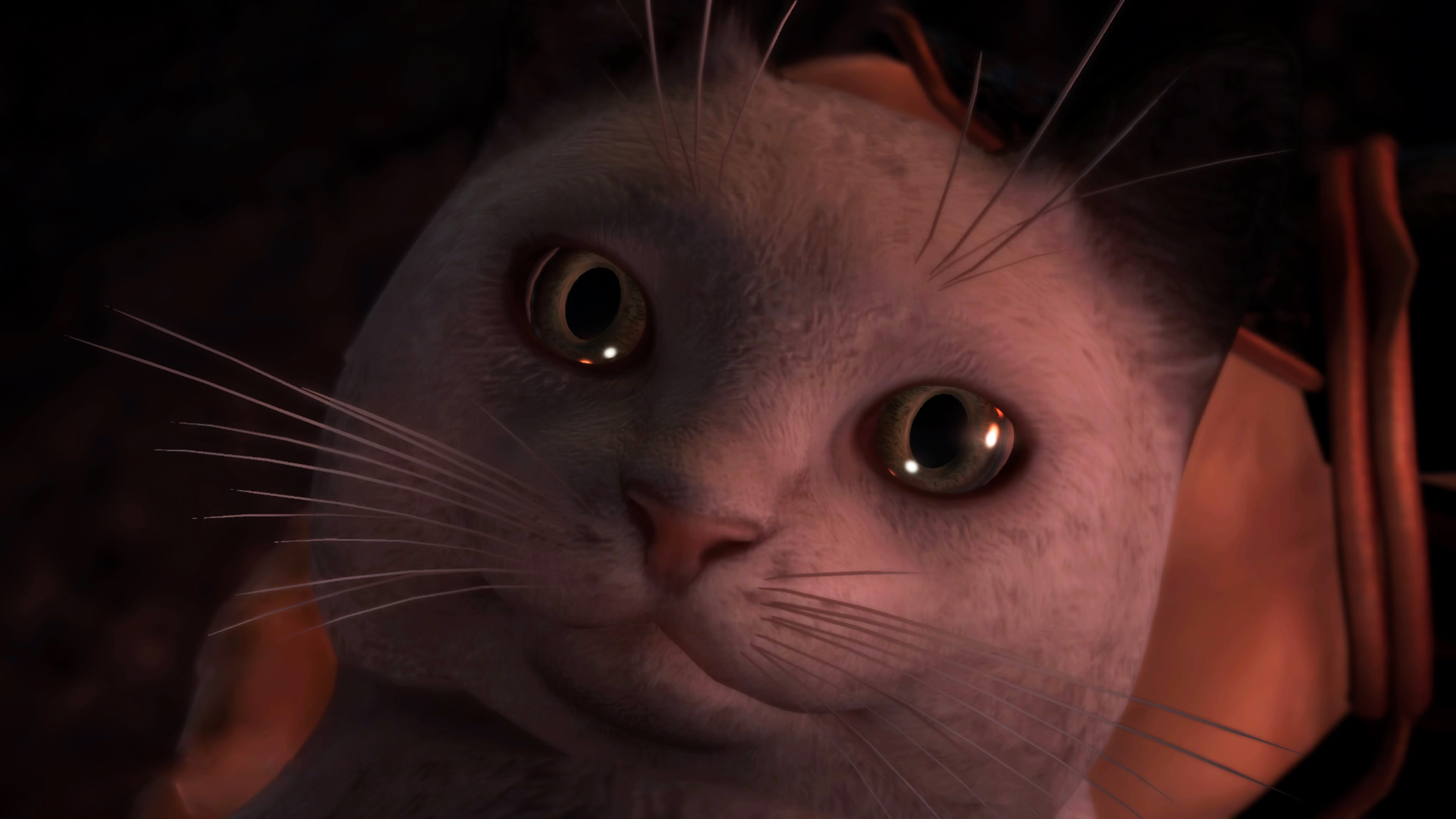 20 изумительных скриншотов Nioh - фото 5