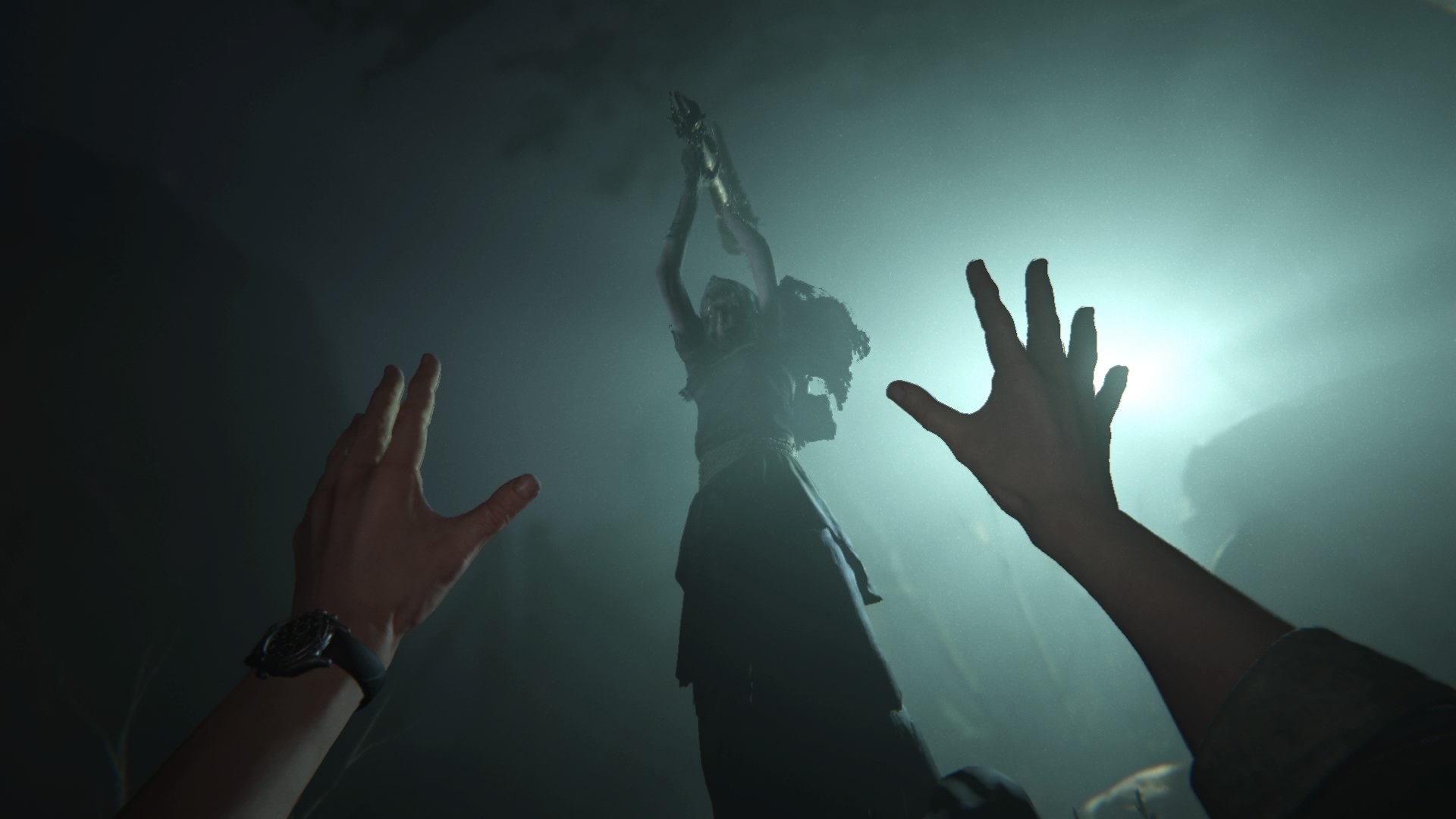 Сегодня ночью в PS Store появилась демоверсия хоррора Outlast 2. Это та же демка, что была показана прессе еще полгода назад на PAX East 2016. Как и положено отрывку, адаптированному для пресс-показа, она длится совсем недолго.