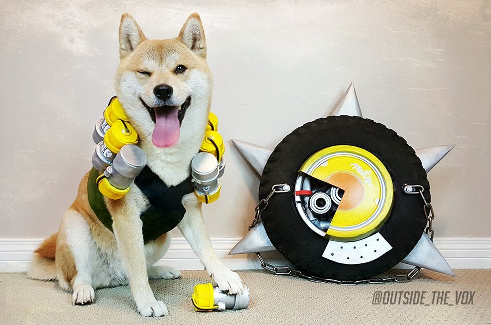 Сногсшибательный собакосплей Overwatch  - фото 2