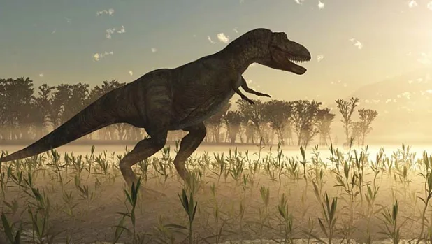Тираннозавры не были пернатыми – в отличие от многих динозавров - фото 1