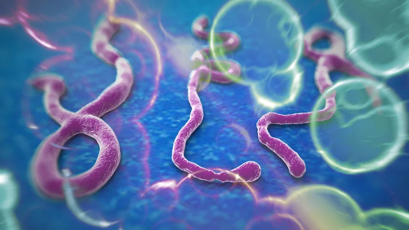 Эпидемия лихорадки Эбола подстегнула загрузки Plague Inc.  - фото 1