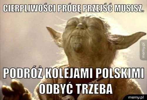 Самые сложные мемы в вашей жизни: погружаемся в польский интернет - фото 11