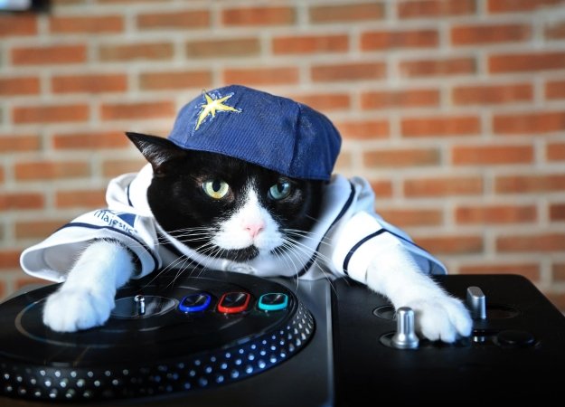 Записки сумасшедшего: как пройти Dark Souls 3 на диджейском пульте - фото 1