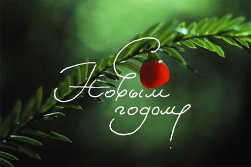 право немного запоздал ,но всеже! С НОВЫМ...
УЖЕ НАСТУПИВШИМ 2010м ГОДОМ ТОВАРИЩИ!!!!!!!!!!!!!!!!!!!!!!!!!!!!!!!! .... - Изображение 2 право немного запоздал ,но всеже! С НОВЫМ...
УЖЕ НАСТУПИВШИМ 2010м ГОДОМ ТОВАРИЩИ!!!!!!!!!!!!!!!!!!!!!!!!!!!!!!!! .... - Изображение 2