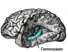 Создание машины для чтения мыслей — излюбленный сюжет писателей-фантастов. Например, герои фильма "Особое мнение", о ... - Изображение 2 Создание машины для чтения мыслей — излюбленный сюжет писателей-фантастов. Например, герои фильма "Особое мнение", о ... - Изображение 2