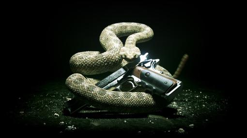 Пост в «Паб» от 23.05.2011 - Изображение 1 Пост в «Паб» от 23.05.2011 - Изображение 1