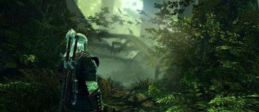 Студия CD Projekt сообщила о том, что сегодня должен выйти патч 1.1 для Ведьмака 2, который исправит основные пробле ... - Изображение 1 Студия CD Projekt сообщила о том, что сегодня должен выйти патч 1.1 для Ведьмака 2, который исправит основные пробле ... - Изображение 1