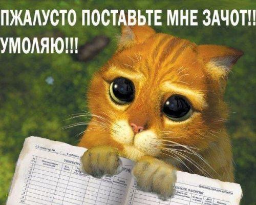 Пост в «Паб» от 27.05.2011 - Изображение 3 Пост в «Паб» от 27.05.2011 - Изображение 3