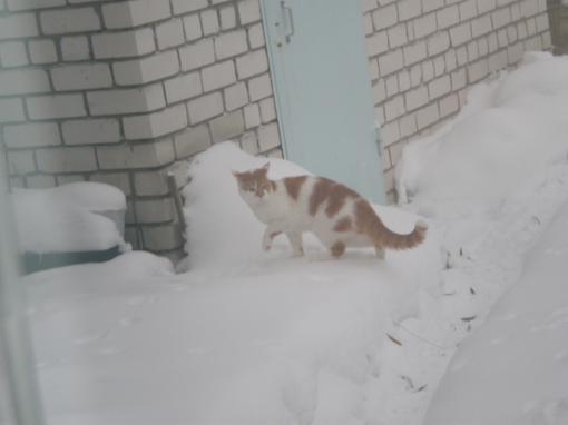 Доброго времени суток Канобу. Мы много времени проводим за компьютером, но надо бывать и в реальном мире. Сегодня я ... - Изображение 3 Доброго времени суток Канобу. Мы много времени проводим за компьютером, но надо бывать и в реальном мире. Сегодня я ... - Изображение 3