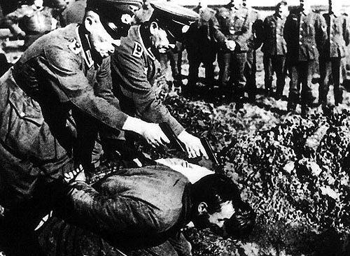 Я бы хотел высказаться по поводу последней адовой кухни.Мне очень сильно не понравилось что ребята начинают мусирова ... - Изображение 1 Я бы хотел высказаться по поводу последней адовой кухни.Мне очень сильно не понравилось что ребята начинают мусирова ... - Изображение 1