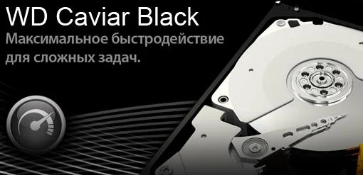 Викторина Caviar Black от Western Digital. Старт - фото 1