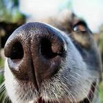 просматривая свежескошенные новости я наткнулся на статью о новом изобретении,которое позволит геймерам проникнуться .... - Изображение 1 просматривая свежескошенные новости я наткнулся на статью о новом изобретении,которое позволит геймерам проникнуться .... - Изображение 1