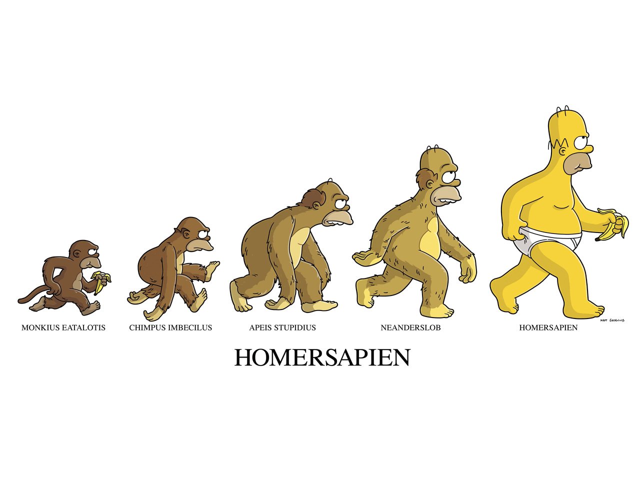 Эволюция человека (16 фото) .