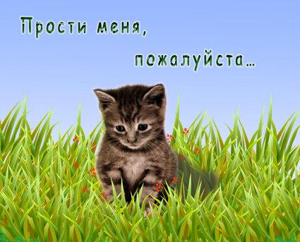 Я многих обидел на сайте и прошу у всех прощения.Каждый человек делает ошибки в своей жизни, и заслуживает хотя бы о ... - Изображение 1 Я многих обидел на сайте и прошу у всех прощения.Каждый человек делает ошибки в своей жизни, и заслуживает хотя бы о ... - Изображение 1