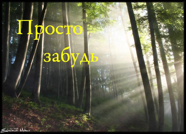 Он бежал между деревьев Анататского леса, бежал, падая и спотыкаясь, не думая ни о чем кроме своего спасения. Где то .... - Изображение 1 Он бежал между деревьев Анататского леса, бежал, падая и спотыкаясь, не думая ни о чем кроме своего спасения. Где то .... - Изображение 1