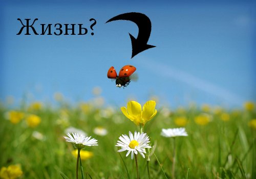 Здравствуйте дорогие КаНоБушары. Я очень давно не писал для нашего любимого портала, но тут мне вдруг приспичило… Я ... - Изображение 1 Здравствуйте дорогие КаНоБушары. Я очень давно не писал для нашего любимого портала, но тут мне вдруг приспичило… Я ... - Изображение 1