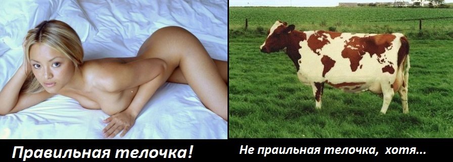 Если вам 35, ваш вес приблизительно 100 кг, а вы живете с мамой и маленкой сестричкой, работаете в макдонолдсе, а иг ... - Изображение 1 Если вам 35, ваш вес приблизительно 100 кг, а вы живете с мамой и маленкой сестричкой, работаете в макдонолдсе, а иг ... - Изображение 1