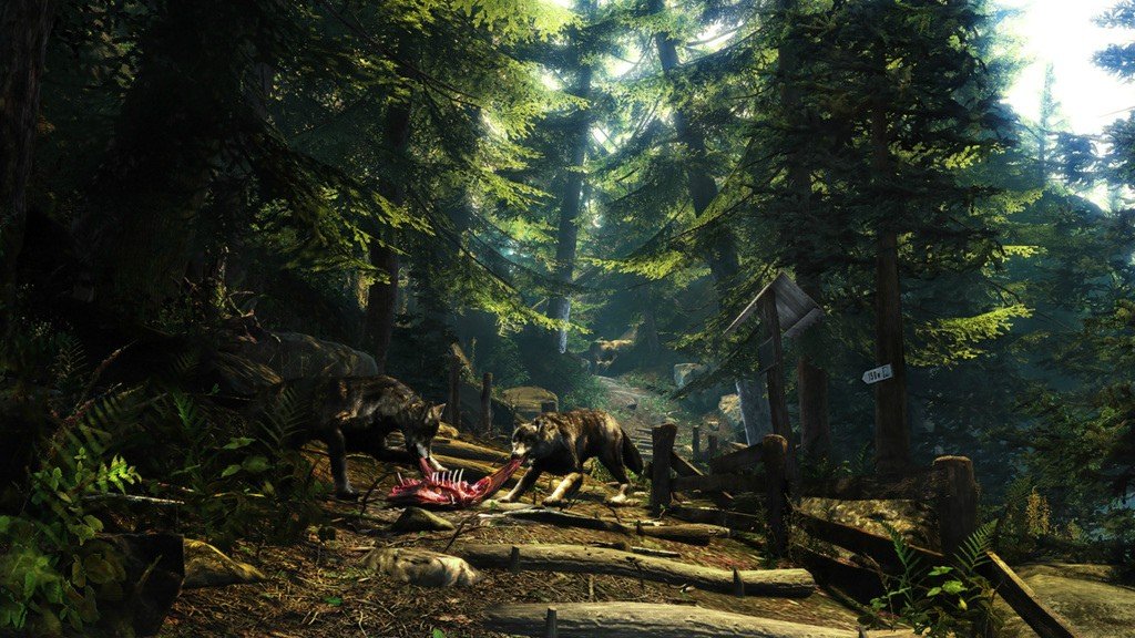 E3: Авторы Two Worlds 2 делают игру в жанре ужасов - изображение 1 E3: Авторы Two Worlds 2 делают игру в жанре ужасов - фото 1