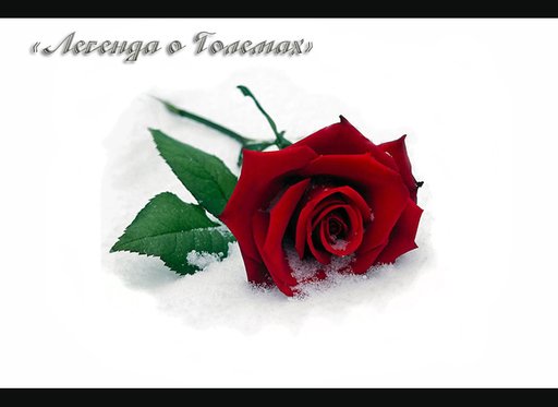 Пожалуй, уже никто точно не может сказать, когда здесь впервые появились эти магические существа. Ведь первые встреч ... - Изображение 1 Пожалуй, уже никто точно не может сказать, когда здесь впервые появились эти магические существа. Ведь первые встреч ... - Изображение 1